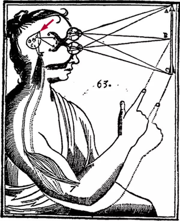 Schematisk människa med streck och pilar utritade. Illustration.