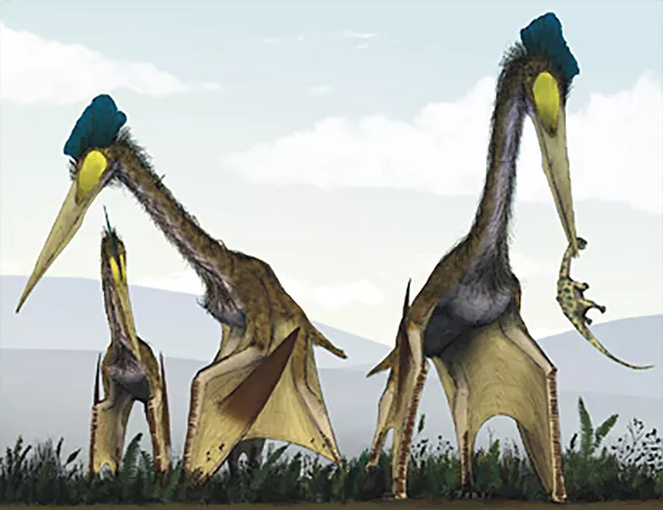 Tre stora djur står på marken med vingarna nedfällda. Illustration.